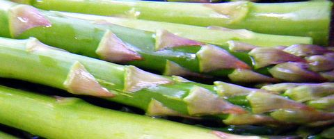 De Europese Unie heeft 2012 uitgeroepen tot het Europees Jaar van Active Ageing and Solidarity