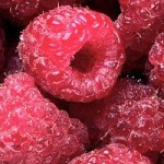 Willen we gezond oud worden, dan moeten we voedsel eten dat men in de Steentijd at.