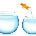 Praktische motieven voeren de boventoon