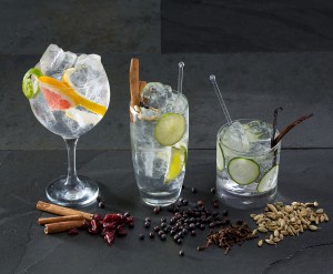 Terrasdrankje 2015 : Gin! (met tonicwater + limoen-citroen-komkommer enz) Terrasdrankje 2015 : Gin! (met tonicwater + limoen-citroen-komkommer enz)