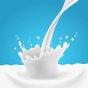 Koemelk is goed voor kalfjes, niet voor ons. Koemelk is goed voor kalfjes, niet voor ons.