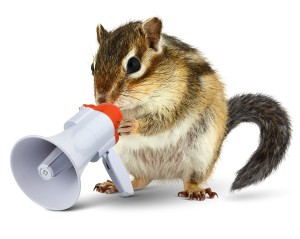 Mensen hebben verhalen, dieren niet Mensen hebben verhalen, dieren niet